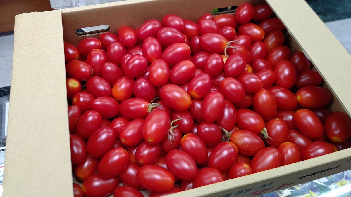 トマトいただきました！６キロあります！どう料理しましょうか、(笑) [おもちゃの平野【Twitter】]