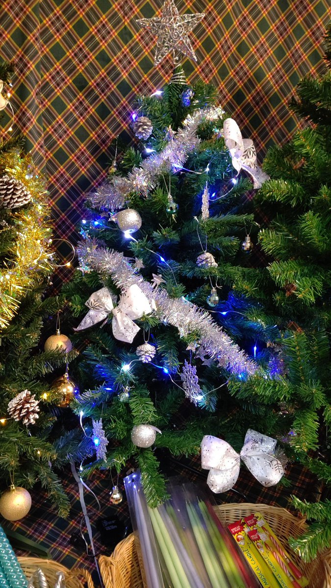 青いツリーできた🎄場所が狭いので、壁側のツリーは広げないでオーナメントも前側に半分だけ使って飾ってます✨#クリスマス🎅 #クリス... [おもちゃの平野【Twitter】]