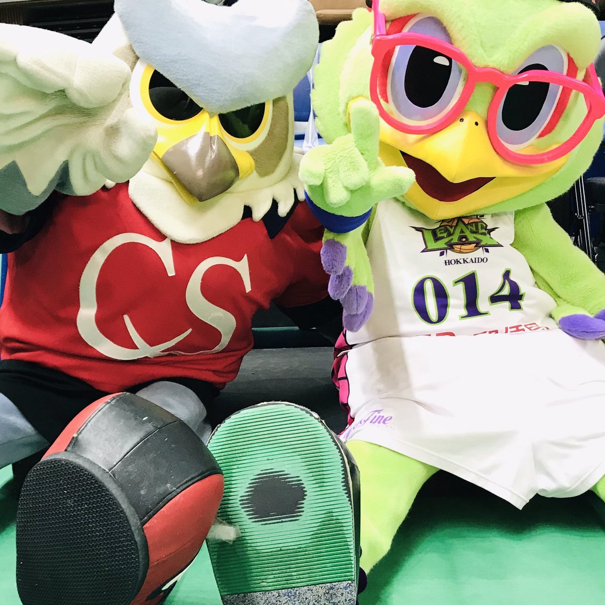 明日1/31(日)は…⏰13:05 TIP OFFでございます!!⏰⚠️日曜は14時05分開始が多いですが、お間違えのなきよう…明日は沢山の... [レバンガ北海道【Twitter】]