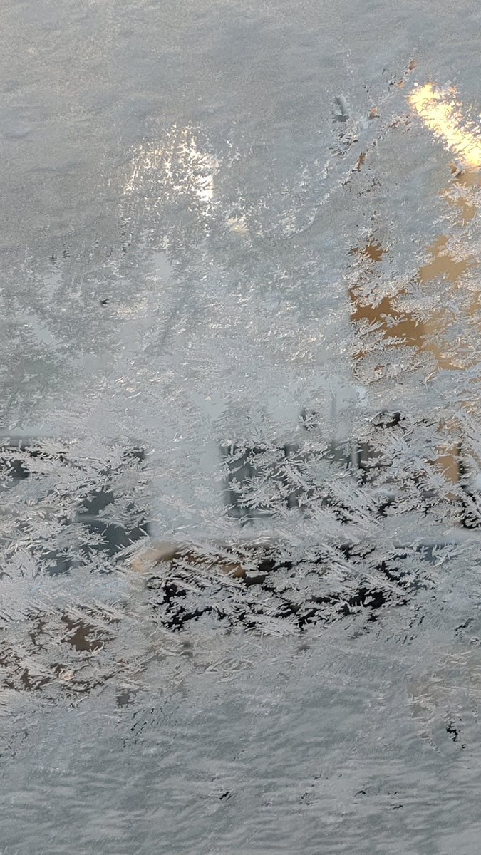 見事にしばれてますね〜(((*_)))ﾌﾞﾙﾌﾞﾙ [おもちゃの平野【Twitter】]