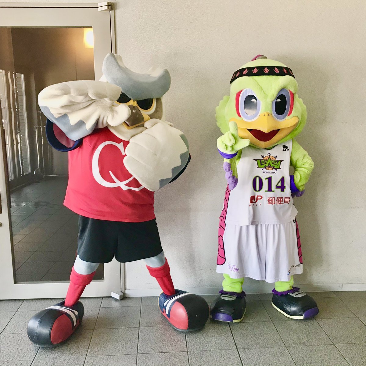 本日のハーフタイムには #ドーレくん がコートに登場、次の週末に開催となる『#レバンガ北海道×#北海道コンサドーレ札幌 コラボデイ』... [レバンガ北海道【Twitter】]