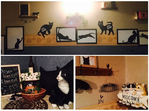 ぜひお待ちしております🐈‍⬛✨ https://t.co/melFMGKEJm [カラオケピロス【Twitter】]