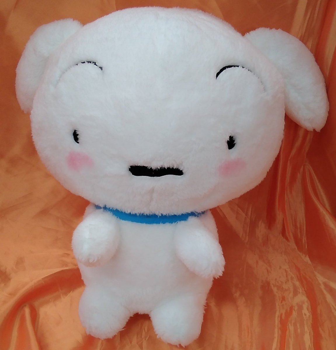 クレヨンしんちゃん　めちゃでかぬいぐるみ　～だっこしてほしいシロだゾ～　が入荷してます。その名前の通り、立ち上がってだっこし... [ワンダーシティ札幌 プラボ札幌西町店【Twitter】]