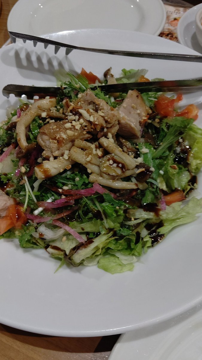 今日の晩御飯は鶏肉のサラダです！(笑) [おもちゃの平野【Twitter】]