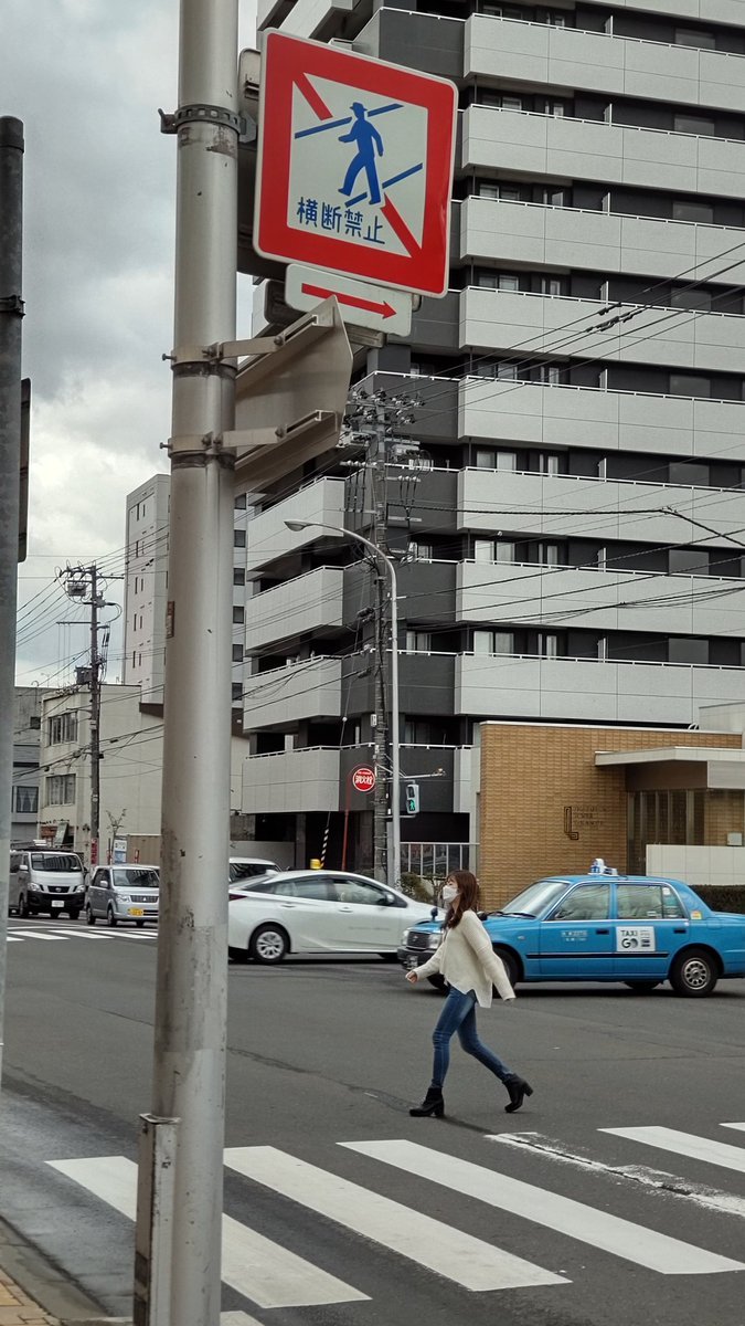 横断禁止の標識が横断歩道からスタートしてるのだけど、これはいったい？珍百景に送れるレベルよね？（笑） [おもちゃの平野【Twitter】]