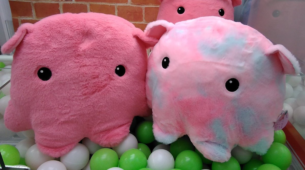 メンダコの大きなぬいぐるみが入荷しました。 [ワンダーシティ札幌 プラボ札幌西町店【Twitter】]