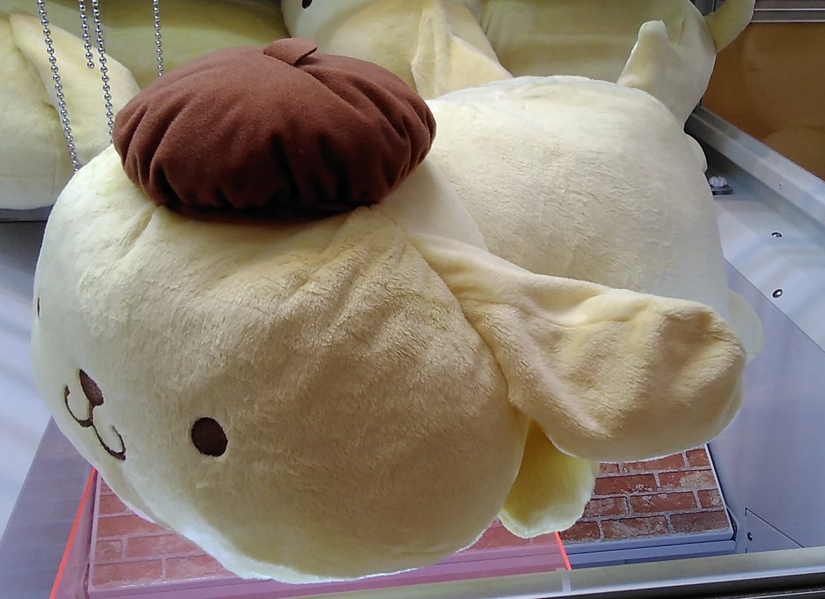 ポムポムプリンの大きなぬいぐるみが入荷しました。#ポムポムプリン [ワンダーシティ札幌 プラボ札幌西町店【Twitter】]