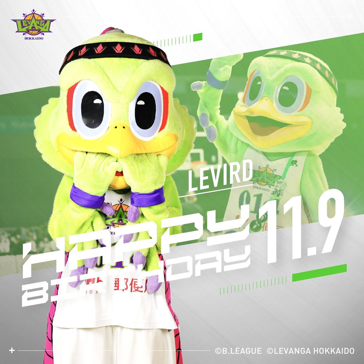 🎂HAPPY BIRTHDAY LEVIRD!!🎉本日11/9は、レバードのお誕生日です✨お誕生日、おめでとうございます😊🍰11月9... [レバンガ北海道【Twitter】]