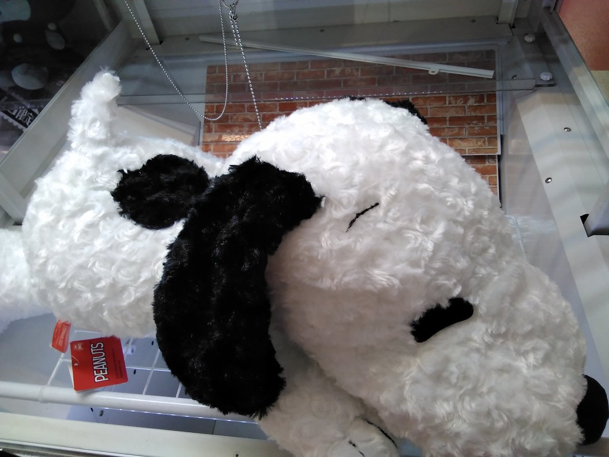 SNOOPYのとても大きなぬいぐるみが入荷しました。#SNOOPY [ワンダーシティ札幌 プラボ札幌西町店【Twitter】]