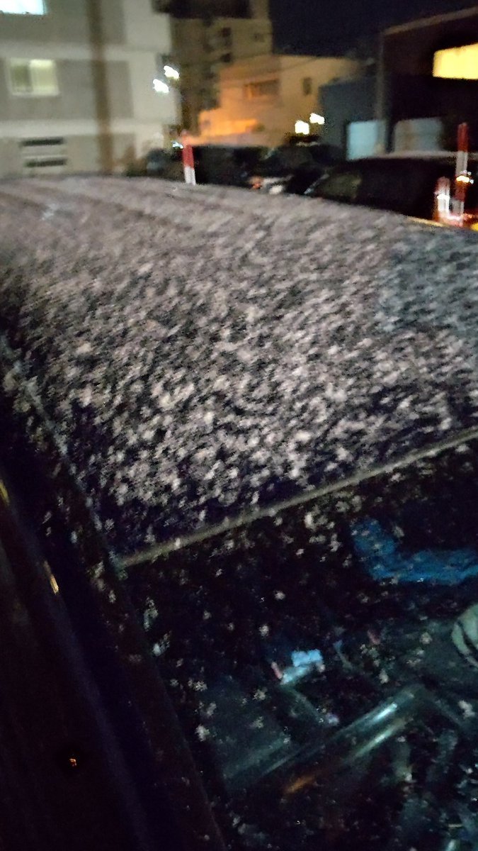 車の屋根にうっすら雪が!寒いね [おもちゃの平野【Twitter】]