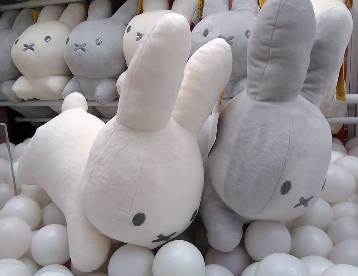 ブルーナアニマルのうさぎの大きなぬいぐるみが入荷しました。#ブルーナアニマル [ワンダーシティ札幌 プラボ札幌西町店【Twitter】]