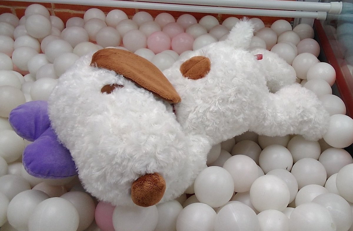 スヌーピーの大きなぬいぐるみが入荷しました。#スヌーピー [ワンダーシティ札幌 プラボ札幌西町店【Twitter】]