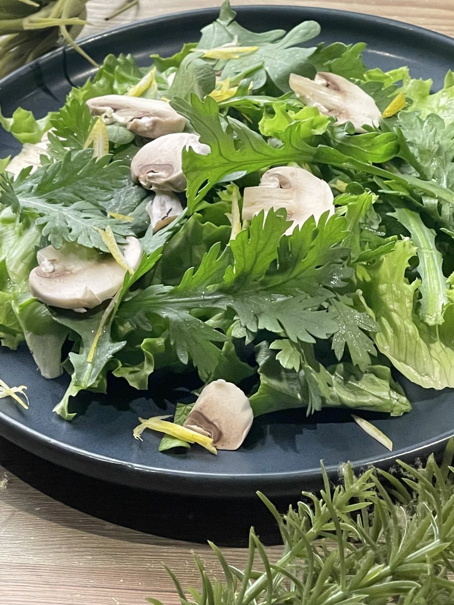 今日はジンギスカンと一緒に食べてほしいサラダのご紹介‼️マッシュルームのサラダ！！春菊と生のマッシュルームは香りも風味もジン... [バル　FUJIYAMA【Twitter】]