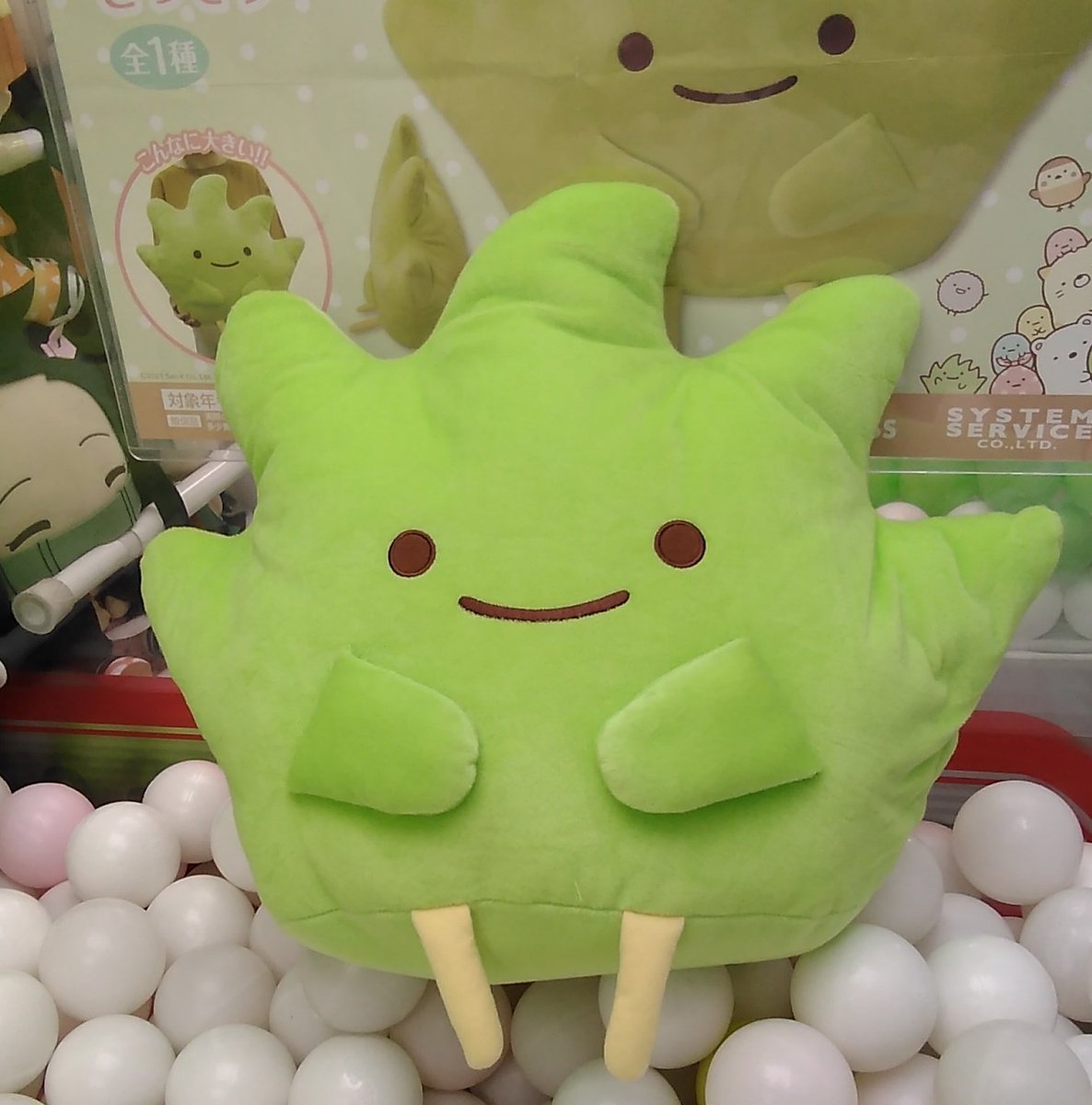 すみっコぐらしの大きなぬいぐるみが入荷しました。#すみっコぐらし [ワンダーシティ札幌 プラボ札幌西町店【Twitter】]