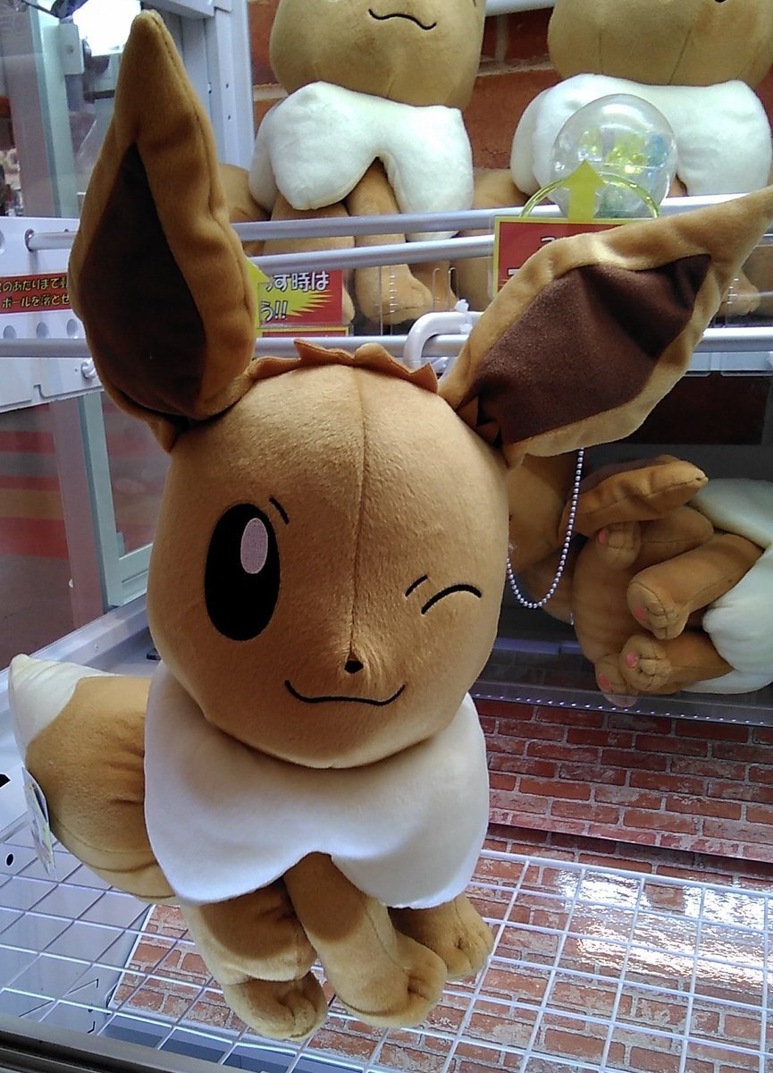 ポケットモンスターの大きなぬいぐるみが入荷しました。#ポケモン #イーブイ [ワンダーシティ札幌 プラボ札幌西町店【Twitter】]