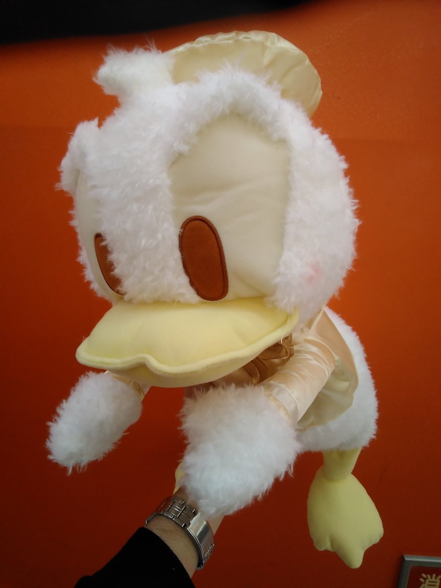 ドナルドダックの大きなぬいぐるみが入荷しました。#ディズニー #ドナルドダック [ワンダーシティ札幌 プラボ札幌西町店【Twitter】]
