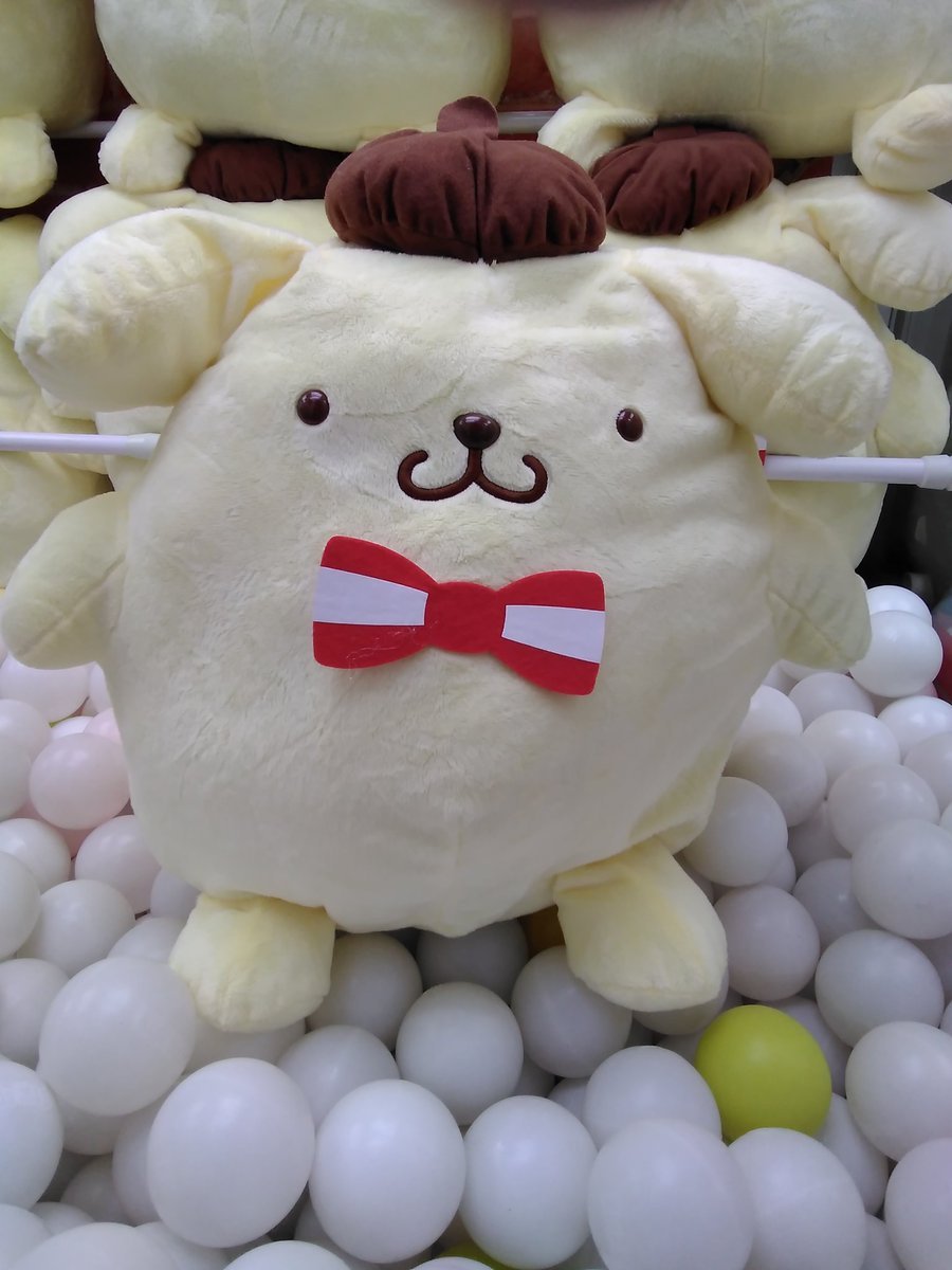 ポムポムプリンのとても大きな紅白リボンのぬいぐるみが入荷しました。#ポムポムプリン [ワンダーシティ札幌 プラボ札幌西町店【Twitter】]