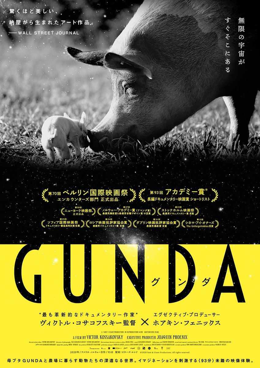＼　本日初日　／『GUNDA/グンダ』『リスペクト』『アメイジング・グレイス　アレサ・フランクリン』 [シアターキノ【Twitter】]