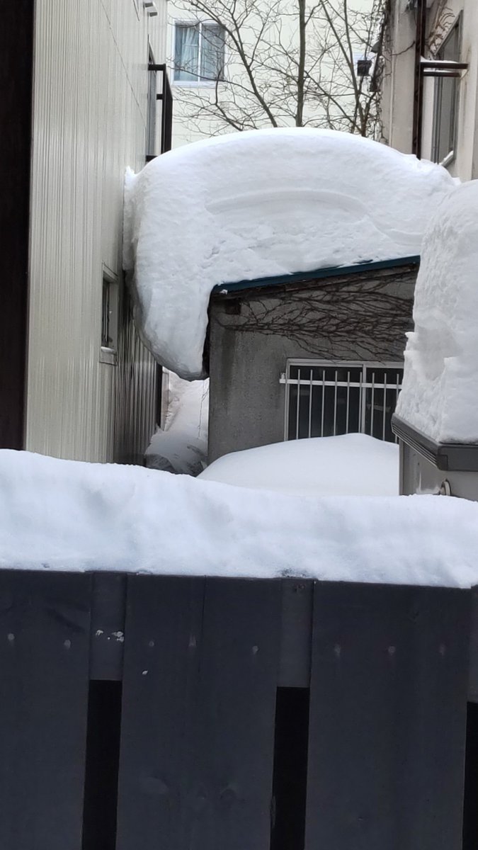 おもちゃの平野、裏の隣家から凄い雪塊が迫ってきてた。 [おもちゃの平野【Twitter】]