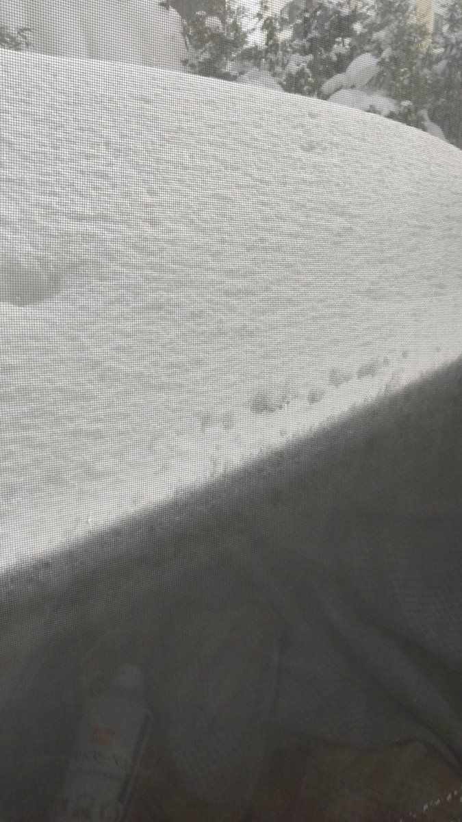 窓が埋まるほど積もってます見つけてしまったからには雪かきせねばならないですぐはぁ〜 [おもちゃの平野【Twitter】]