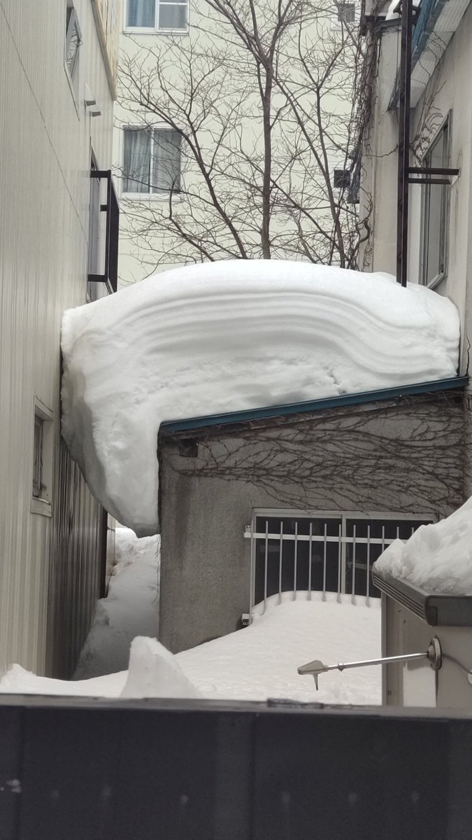 店の隣の民家からせり出した雪は、完全に動く事をやめたようです。（笑） [おもちゃの平野【Twitter】]