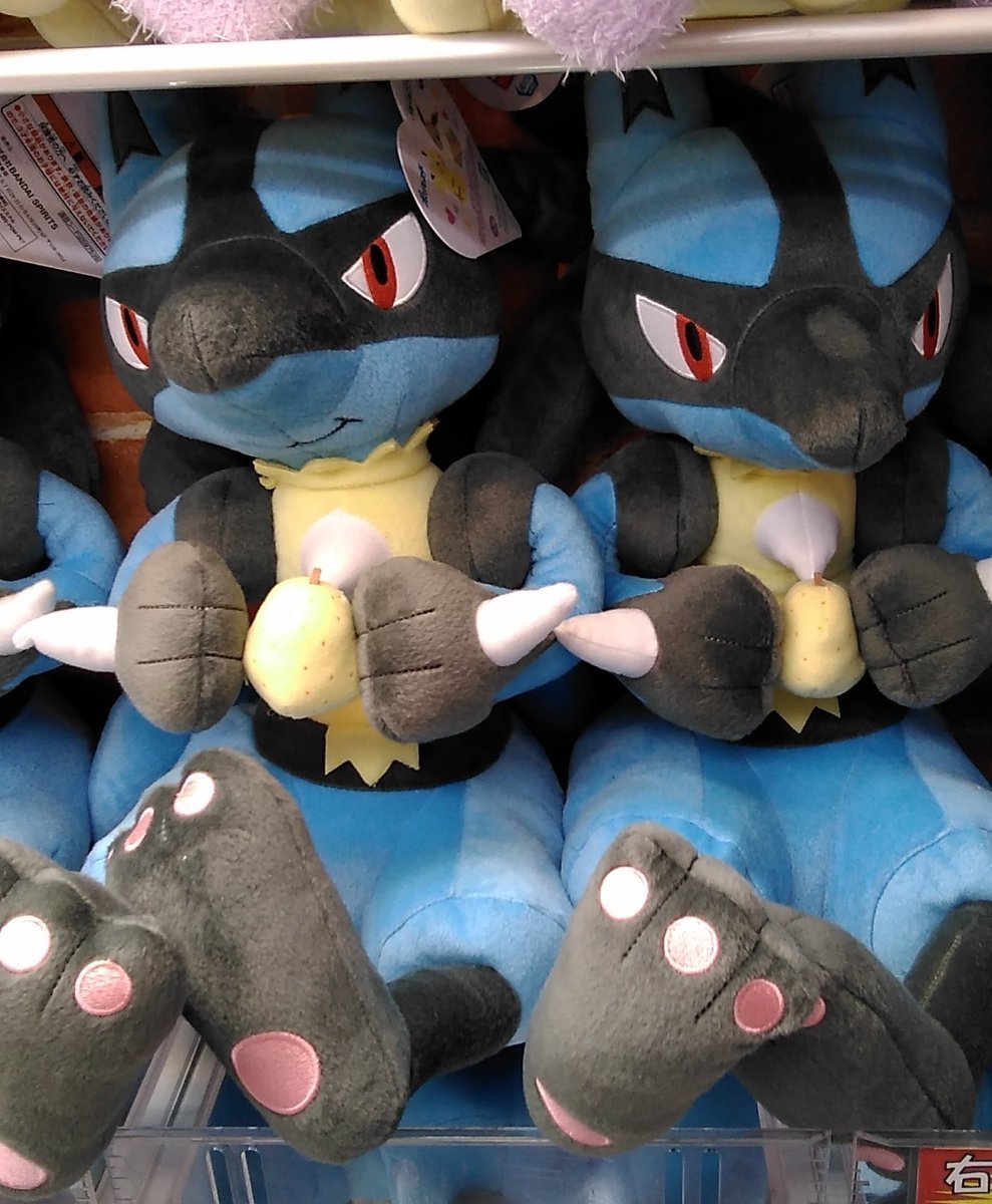 ポケットモンスターのルカリオの大きなぬいぐるみが入荷しました。#ポケモン #ルカリオ [ワンダーシティ札幌 プラボ札幌西町店【Twitter】]