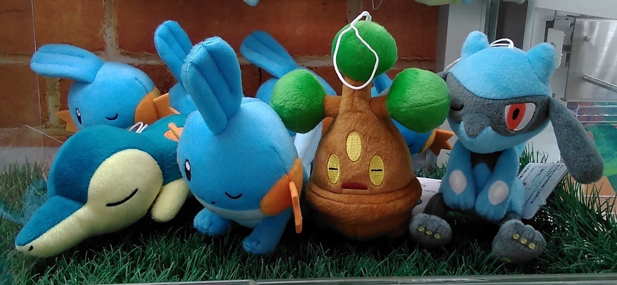 ポケットモンスターの小さめのぬいぐるみが入荷しました。#ポケモン [ワンダーシティ札幌 プラボ札幌西町店【Twitter】]