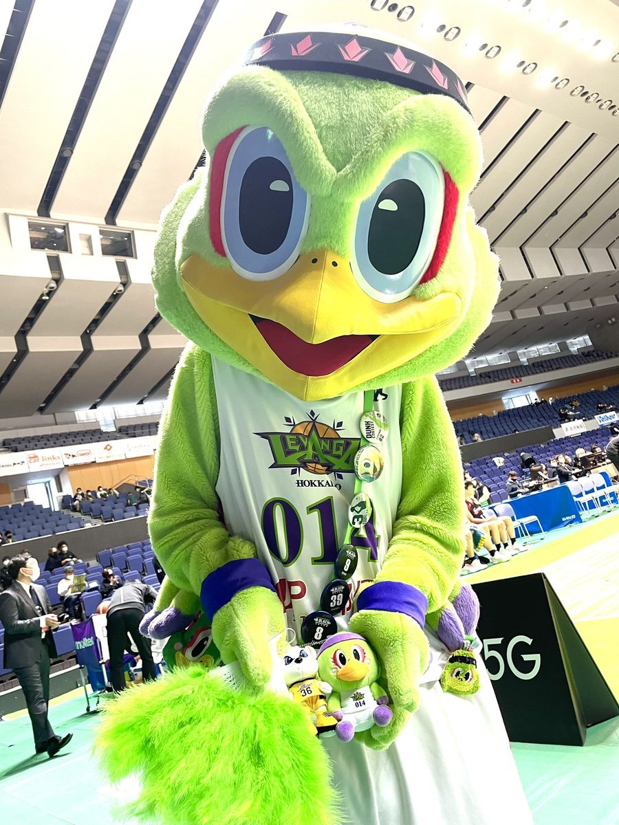 本日 vs #サンロッカーズ渋谷 戦。Bリーグ屈指のイケくま、#サンディー グッズ、グッズ売り場に並んでいます🐻💛#レバード も早速手に... [レバンガ北海道【Twitter】]