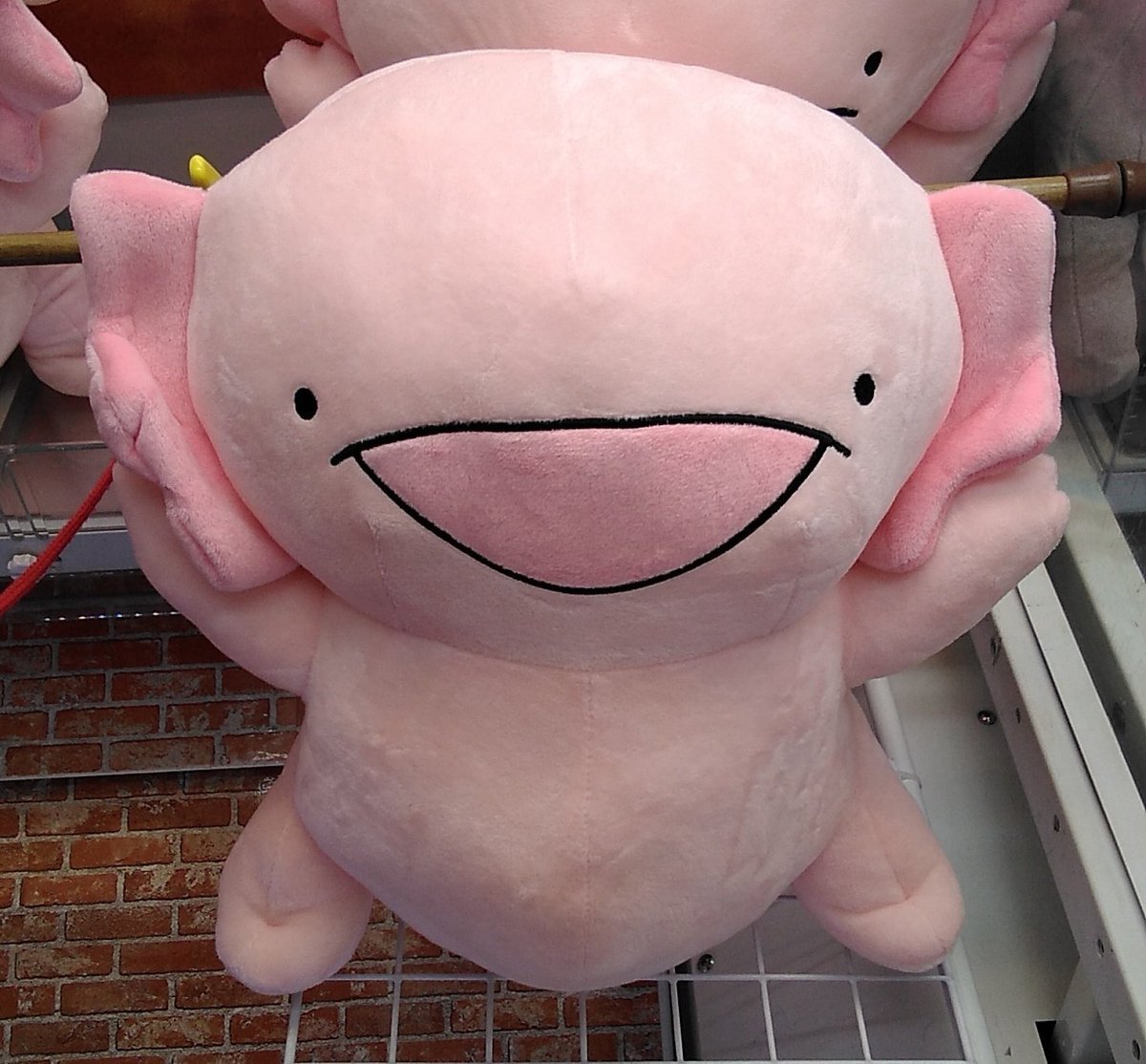 からめるのウーパールーパーの大きなぬいぐるみが入荷してます。#からめる [ワンダーシティ札幌 プラボ札幌西町店【Twitter】]