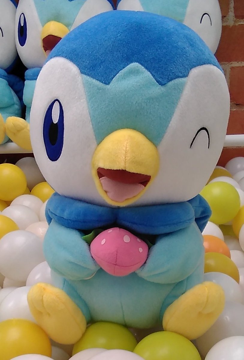 ポケットモンスターのポッチャマの大きなぬいぐるみが入荷しました。#ポケモン #ポッチャマ [ワンダーシティ札幌 プラボ札幌西町店【Twitter】]