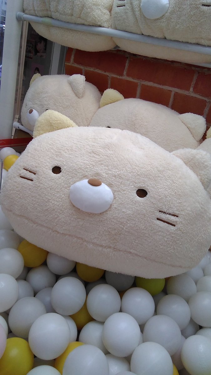 すみっコぐらしドーム型クッションXLプレミアム　ねこが入荷しました。#すみっコぐらし [ワンダーシティ札幌 プラボ札幌西町店【Twitter】]
