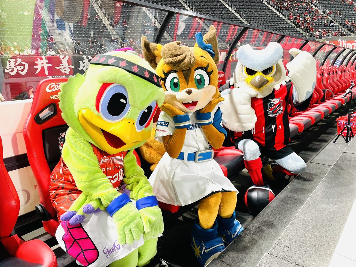 見守っています🐤🐿🦉✨左から#レバード、#ポリー、#ドーレくん😍#北海道コンサドーレ札幌⚽️#北海道日本ハムファイターズ⚾️#レバン... [レバンガ北海道【Twitter】]