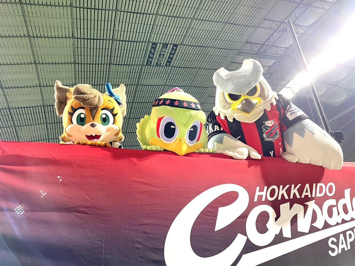 🐤💚🤝(ご紹介しそびれていた🙇‍♀️最高にかわE@札幌ドームでの写真を今こそ…!!!)#北海道コンサドーレ札幌🦉#北海道日本ハムフ... [レバンガ北海道【Twitter】]