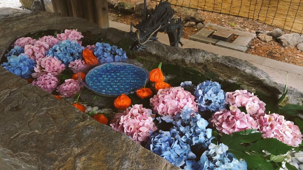 おはようございます☀昨日、神社にて。今日は風が強くて、お花どうなってるかなとちょっと心配です。開店でーす！#おもちゃの平野 [おもちゃの平野【Twitter】]