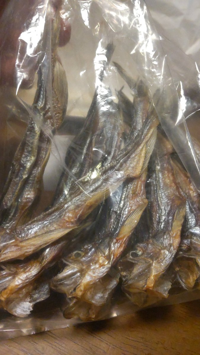いただいた、シシャモ美味い!炙って、生姜醤油で食べると絶対美味しいよねー [おもちゃの平野【Twitter】]