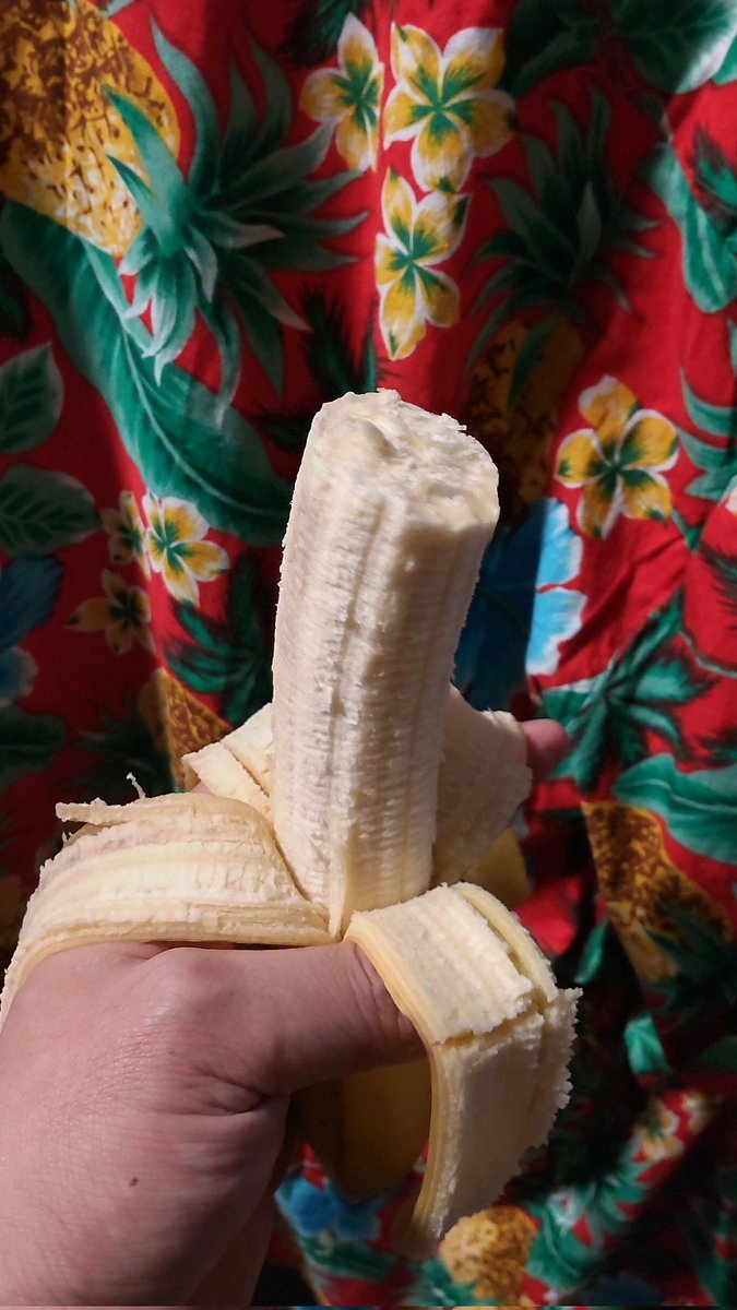 最近はオヤツにバナナを食べるんですバナナなんて食べたら、太るよーって言われます。だけど全くそんなことありません。１日、... [おもちゃの平野【Twitter】]