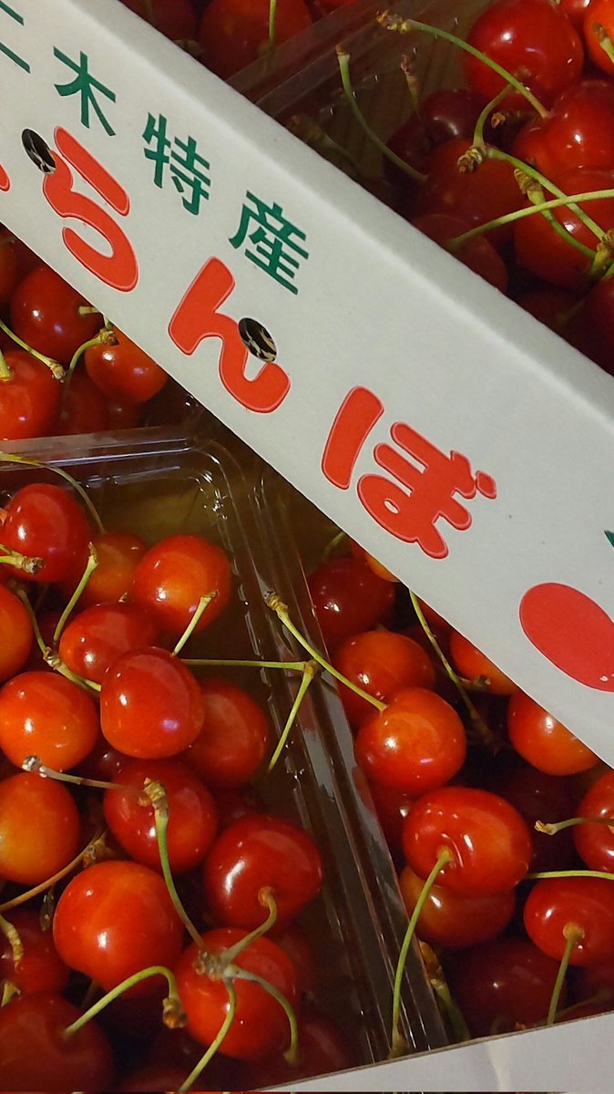 農家の方から直接いただいたサクランボたっぷりあります! [おもちゃの平野【Twitter】]