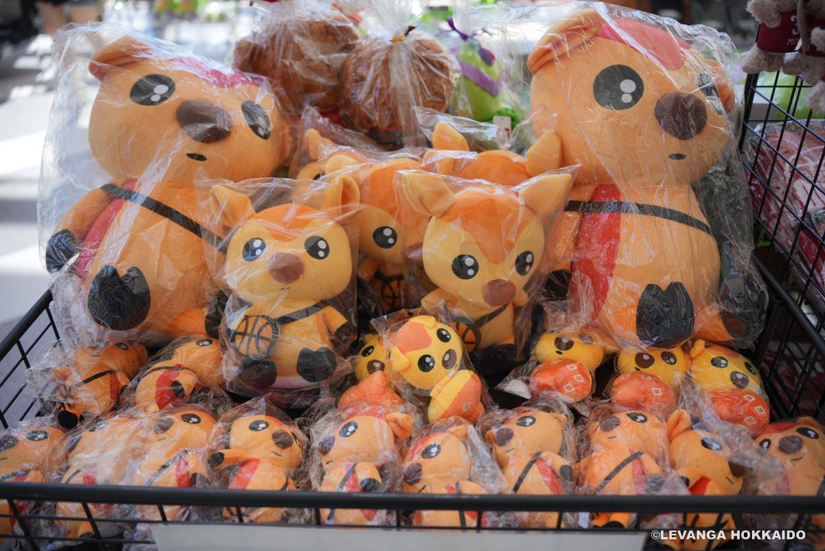 【グッズ情報】本日は、対戦相手の #バンビシャス奈良 の #シカッチェ グッズも販売しています🦌もちろん #レバンガ北海道 の新グッズ..... [レバンガ北海道【Twitter】]