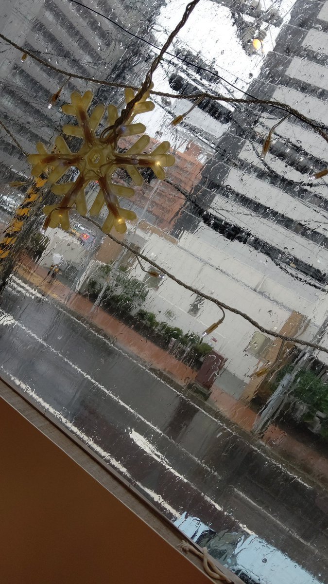 雨音が強くなったので様子を見てみたら…… [おもちゃの平野【Twitter】]