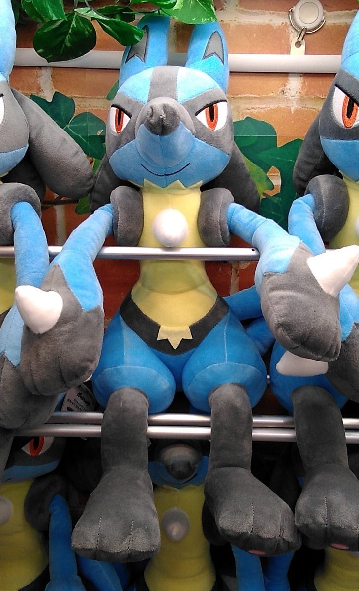 ポケットモンスターのルカリオの大きなぬいぐるみが入荷しました。#ポケモン #ルカリオ [ワンダーシティ札幌 プラボ札幌西町店【Twitter】]