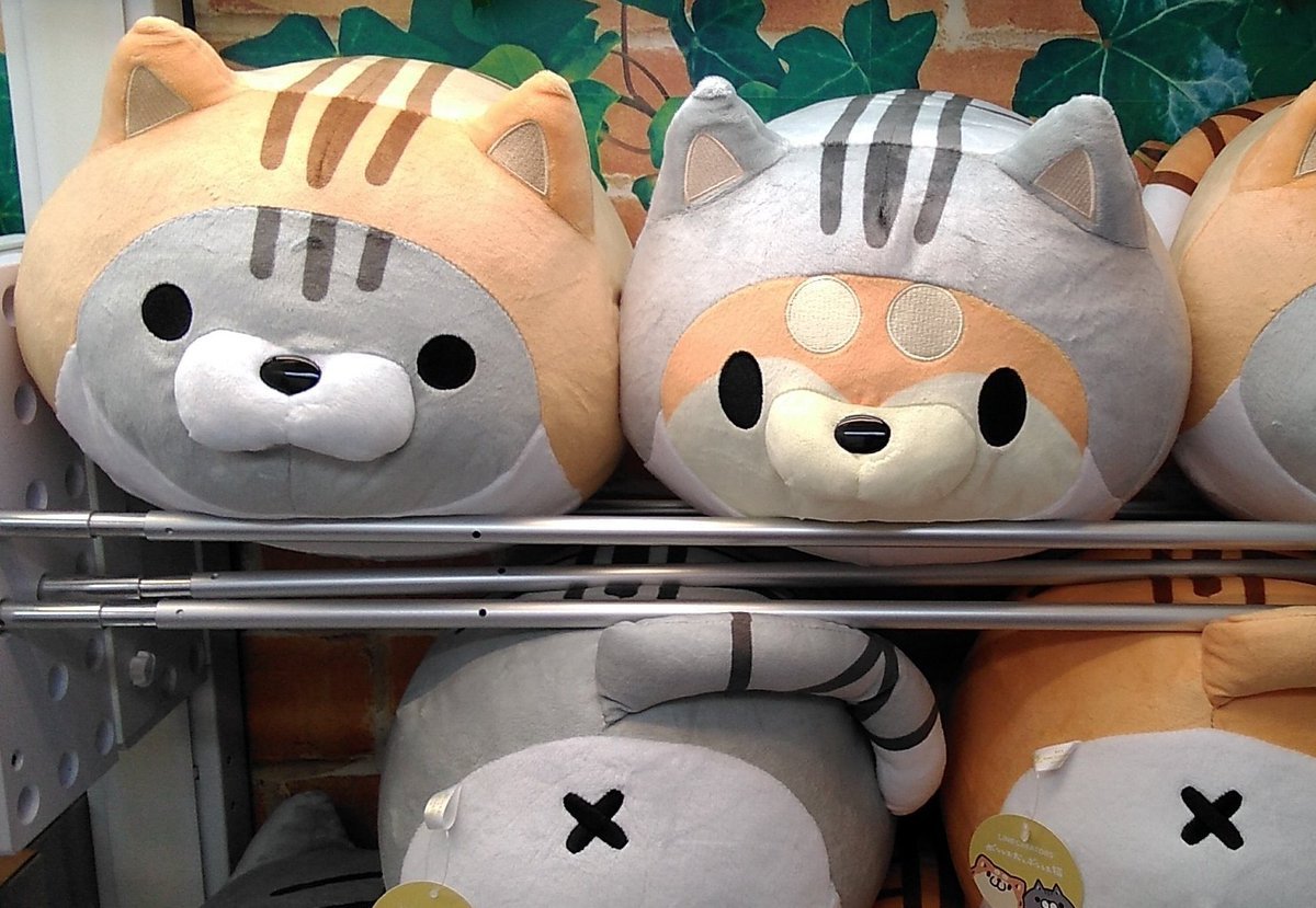 ボンレス犬とボンレス猫の大きなぬいぐるみが入荷しました。#ボンレス犬とボンレス猫 [ワンダーシティ札幌 プラボ札幌西町店【Twitter】]
