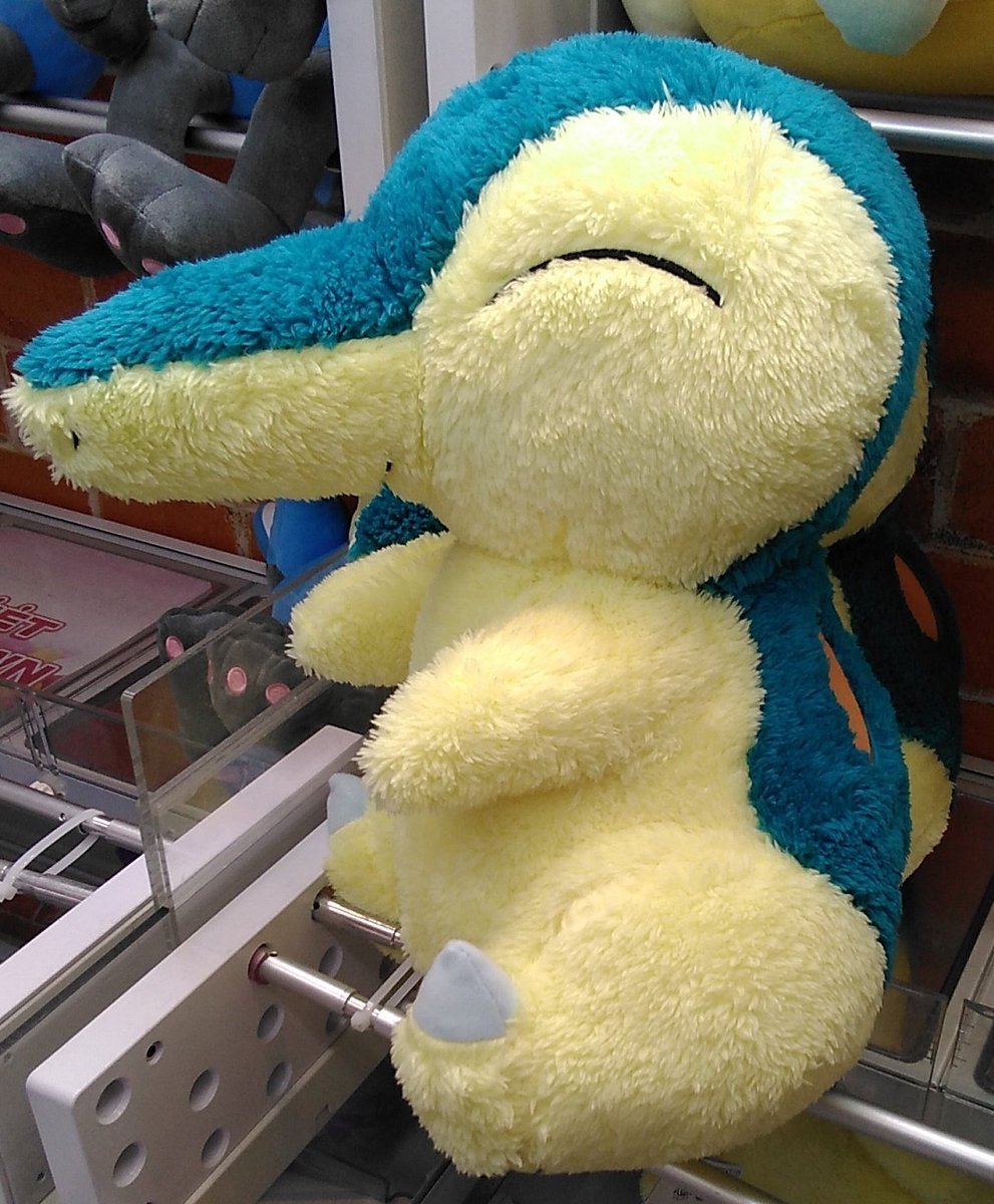 ポケットモンスターのヒノアラシの大きなぬいぐるみが入荷しました。#ポケモン #ヒノアラシ [ワンダーシティ札幌 プラボ札幌西町店【Twitter】]