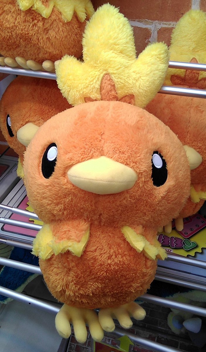 ポケットモンスターのアチャモの大きなぬいぐるみが入荷しました。#ポケモン #アチャモ [ワンダーシティ札幌 プラボ札幌西町店【Twitter】]