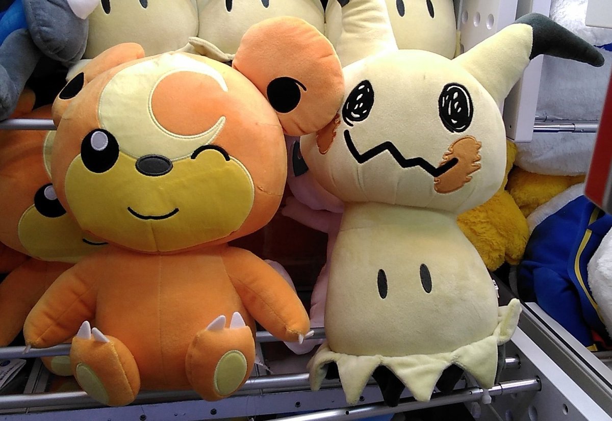 ポケットモンスターの大きなぬいぐるみが入荷しました。#ポケモン #ヒメグマ #ミミッキュ [ワンダーシティ札幌 プラボ札幌西町店【Twitter】]