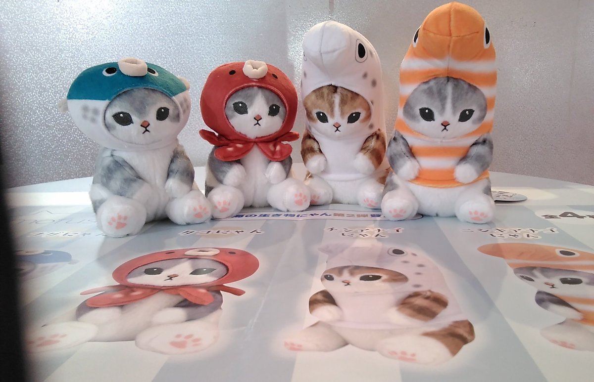 mofusand 海の生き物にゃん2 ぬいぐるみ入荷致しました。#にゃん　#海の生き物　#ぬいぐるみ [ワンダーシティ札幌 プラボ札幌西町店【Twitter】]