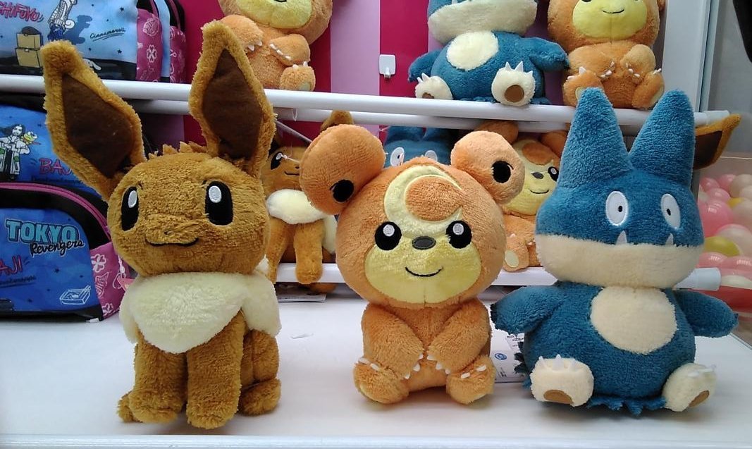 ポケットモンスターのぬいぐるみが入荷しました。#ポケモン #イーブイ #ヒメグマ #ゴンベ [ワンダーシティ札幌 プラボ札幌西町店【Twitter】]