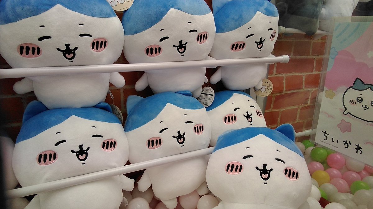 ちいかわ ハチワレ超BIGぬいぐるみ にこっが入荷致しました。#ちいかわ　#ハチワレ　#ぬいぐるみ [ワンダーシティ札幌 プラボ札幌西町店【Twitter】]