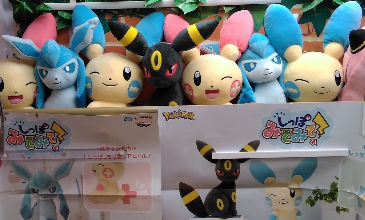 しっぽみてみてのポケモンが入荷しました。#ポケモン [ワンダーシティ札幌 プラボ札幌西町店【Twitter】]