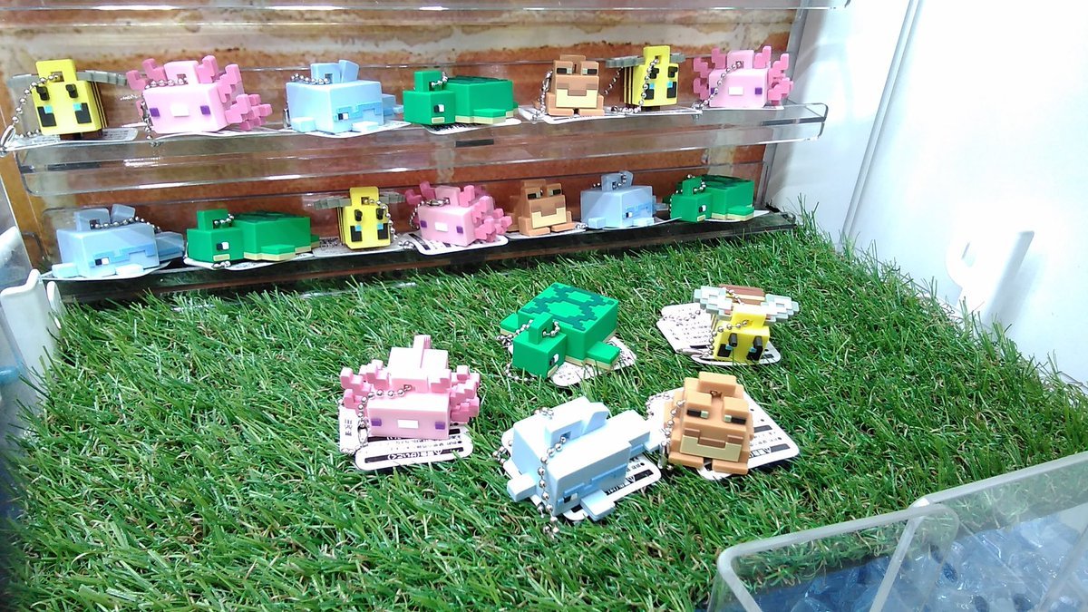 マインクラフト ラバぷちマスコット～ハチ・ウーパールーパー・イルカ・カメ・カエル～入荷致しました。#マイクラ　#マインクラフ... [ワンダーシティ札幌 プラボ札幌西町店【Twitter】]