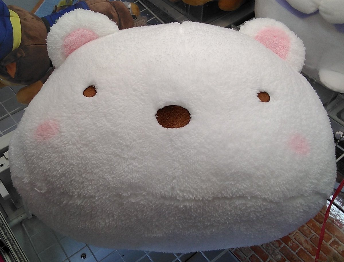 すみっコぐらしのドームクッションが入荷しました#すみっコぐらし #しろくま [ワンダーシティ札幌 プラボ札幌西町店【Twitter】]